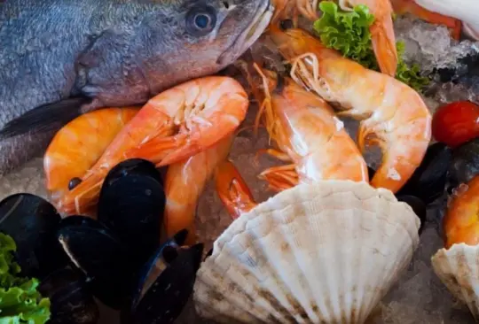 Advierten por mariscos contaminados producidos en México. 