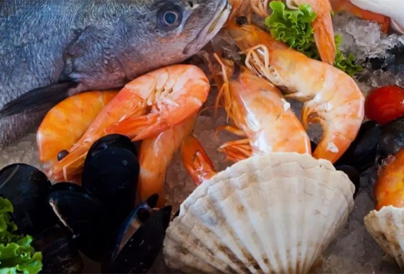Advierten por mariscos contaminados producidos en M&eacute;xico. 