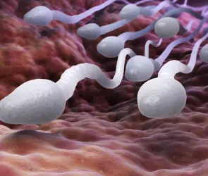 ¿DIU para hombre? Así es el novedoso método anticonceptivo masculino