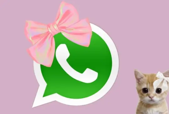 WhatsApp en modo coquette