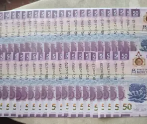 Ponen a la venta una colección de billetes de ajolote en 40 millones de pesos