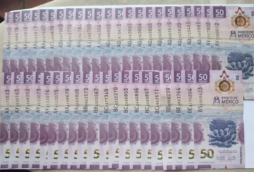Venden colecci&oacute;n de billetes de ajolote