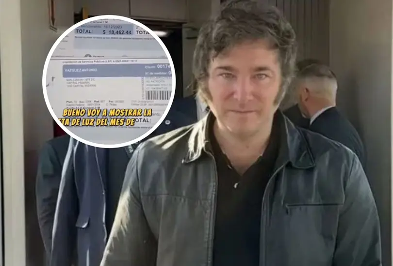As&iacute; aument&oacute; el recibo de luz con Javier Milei. 