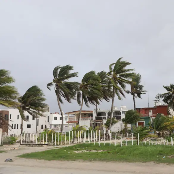 Tormenta tropical Once-E amenaza a México y ocasionará lluvias torrenciales en estos estados