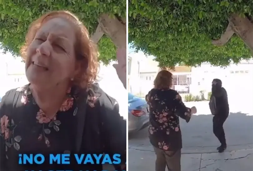 Maestra es asaltada por su propio alumno.