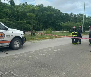 Se está quemando: trabajador de servicios públicos muere electrocutado mientras podaba