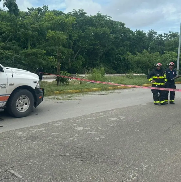 Se está quemando: trabajador de servicios públicos muere electrocutado mientras podaba