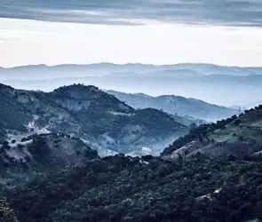 Radiografía de Los Ardillos, el cártel más poderoso de Chilpancingo