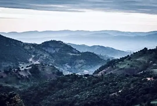 Montaña baja, lugar de origen de Los Ardillos