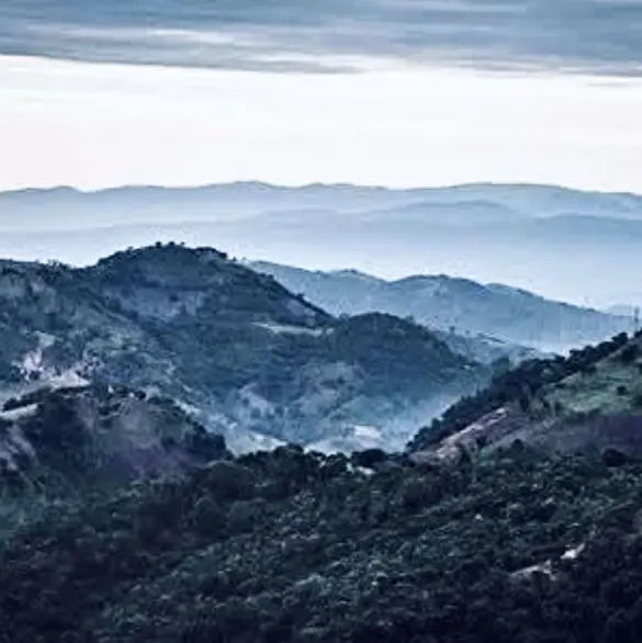 Radiografía de Los Ardillos, el cártel más poderoso de Chilpancingo