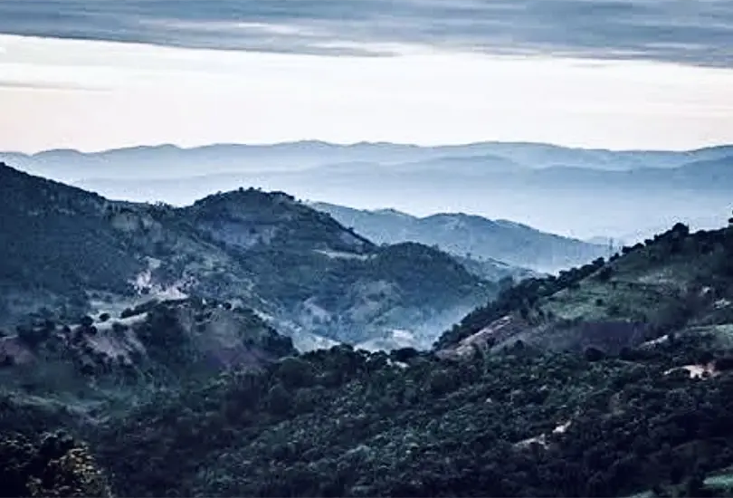 Monta&ntilde;a baja, lugar de origen de Los Ardillos