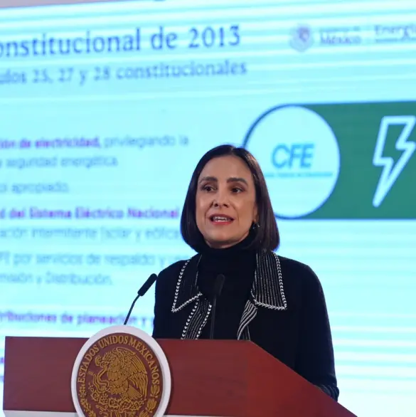 Pemex y CFE volverán a ser empresas públicas del Estado: Luz Elena González