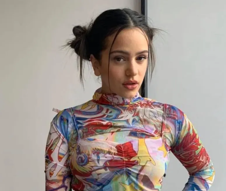 Sin embargo, al inicio de su carrera no todo fueron éxitos para Rosalía, ya que sufrió varios rechazos antes de alcanzar la fama.