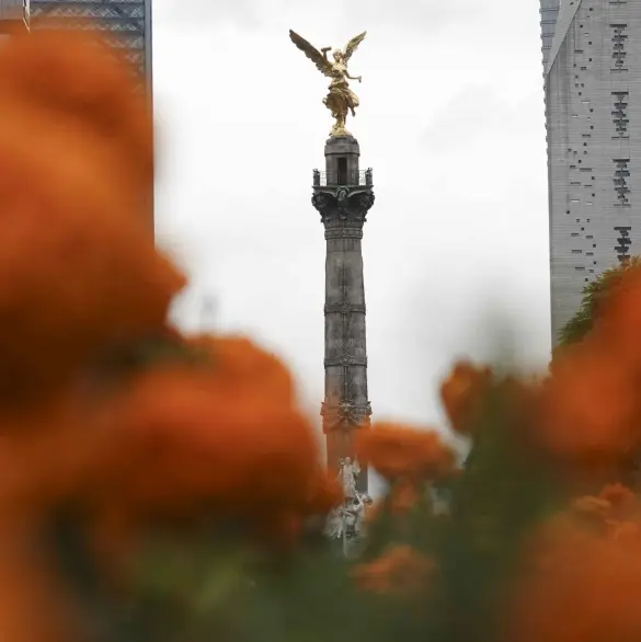 Día de Muertos 2024: Estas son las actividades que habrá en CDMX