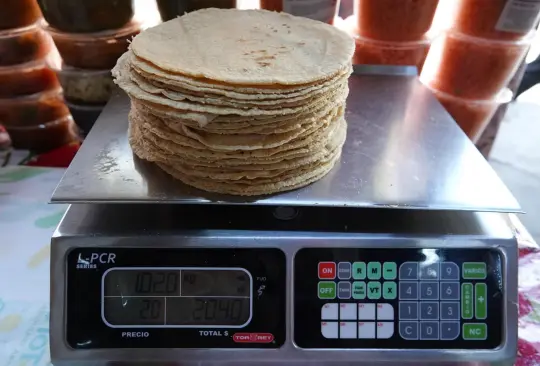 Sheinbaum promete bajar el precio de la tortilla.