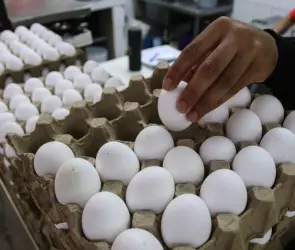 Esto es lo que debería costar el kilo de huevo según Profeco