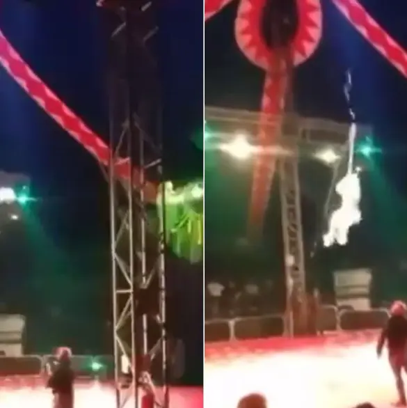 VIDEO: Payaso se cae del trapecio mientras realizaba acto