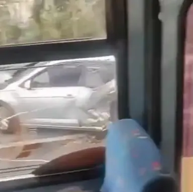 Captura / X: @QuePocaMadreMex