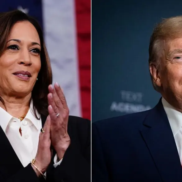 Elecciones de EE.UU, EN VIVO: Últimas Noticias de Trump vs. Harris HOY 4 de noviembre