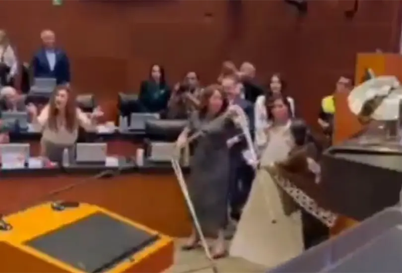 As&iacute; fue la trifulca en el Senado de la Rep&uacute;blica.