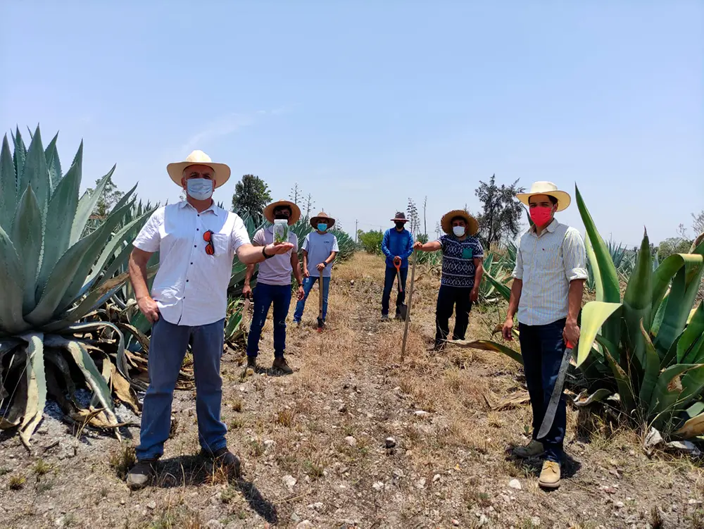 Universidad de Guanajuato