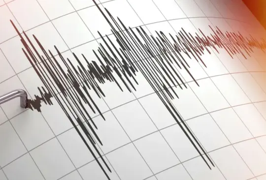 Varios movimientos telúricos fueron registrados durante la noche