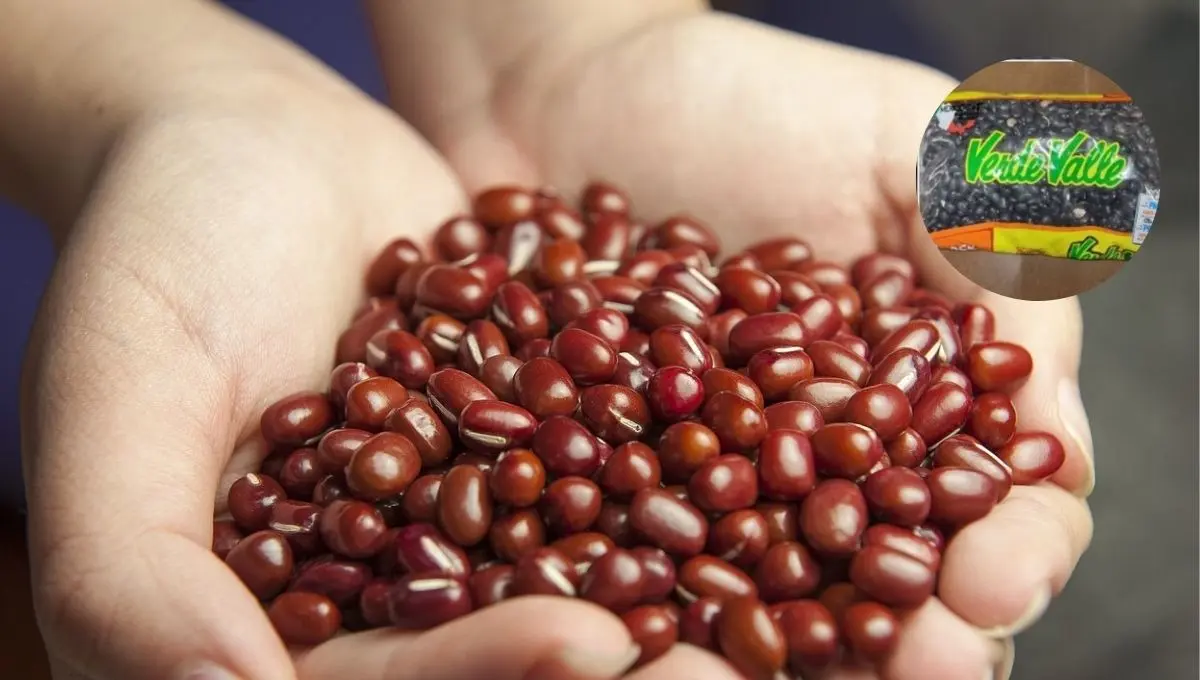  Extranjero encuentra piedra en sus frijoles 