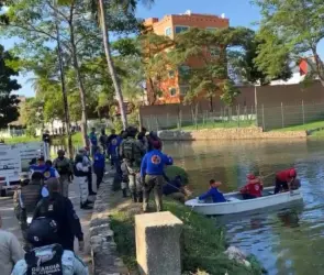 Cocodrilo de dos metros mata a un hombre en Villahermosa