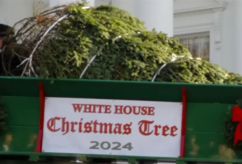 Un abeto adornar&aacute; la navidad de la Casa Blanca