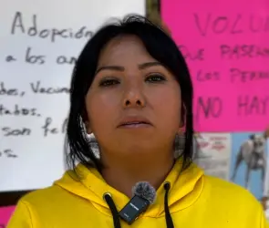 Refugio de animales en la Narvarte: las dos caras del caso