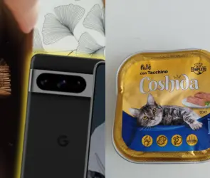 Joven compra celular de 14 mil pesos en Amazon y recibe comida de gato 