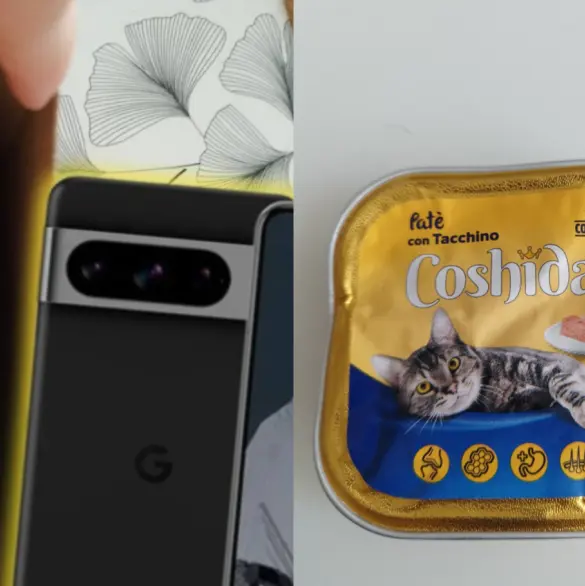 Joven compra celular de 14 mil pesos en Amazon y recibe comida de gato 