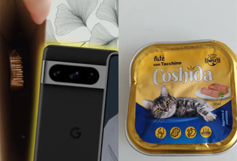 Hasta el momento no ha recibido una respuesta de parte de Amazon.