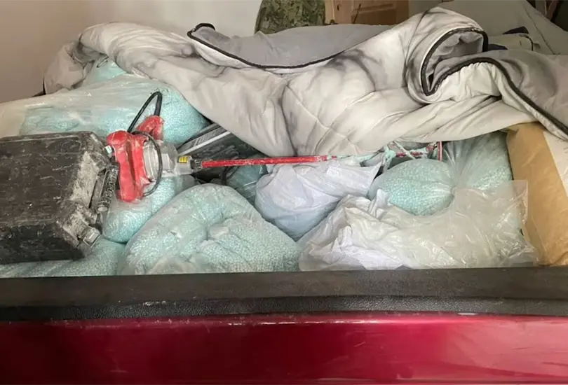 En un operativo de las fuerzas federales, este martes se decomisaron aproximadamente mil 500 kilos de pastillas de fentanilo. En un operativo de las fuerzas federales, este martes se decomisaron aproximadamente mil 500 kilos de pastillas de fentanilo.