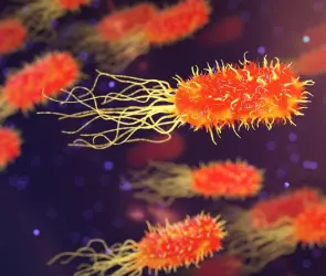 VIDEO| Klebsiella oxytoca: una amenaza silenciosa en hospitales