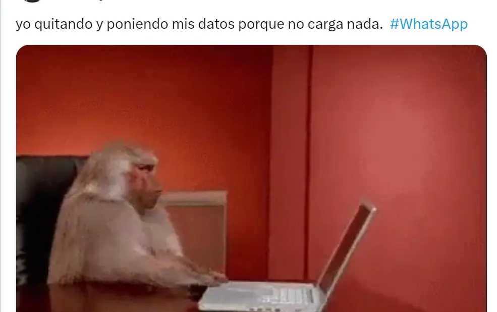 Fue poco después del mediodía cuando diversos usuarios comenzaron a reportar que no podían enviar mensajes a sus contactos.