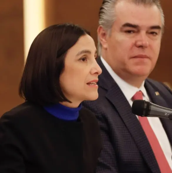 Luz Elena González presenta Plan Nacional de Energía al CCE