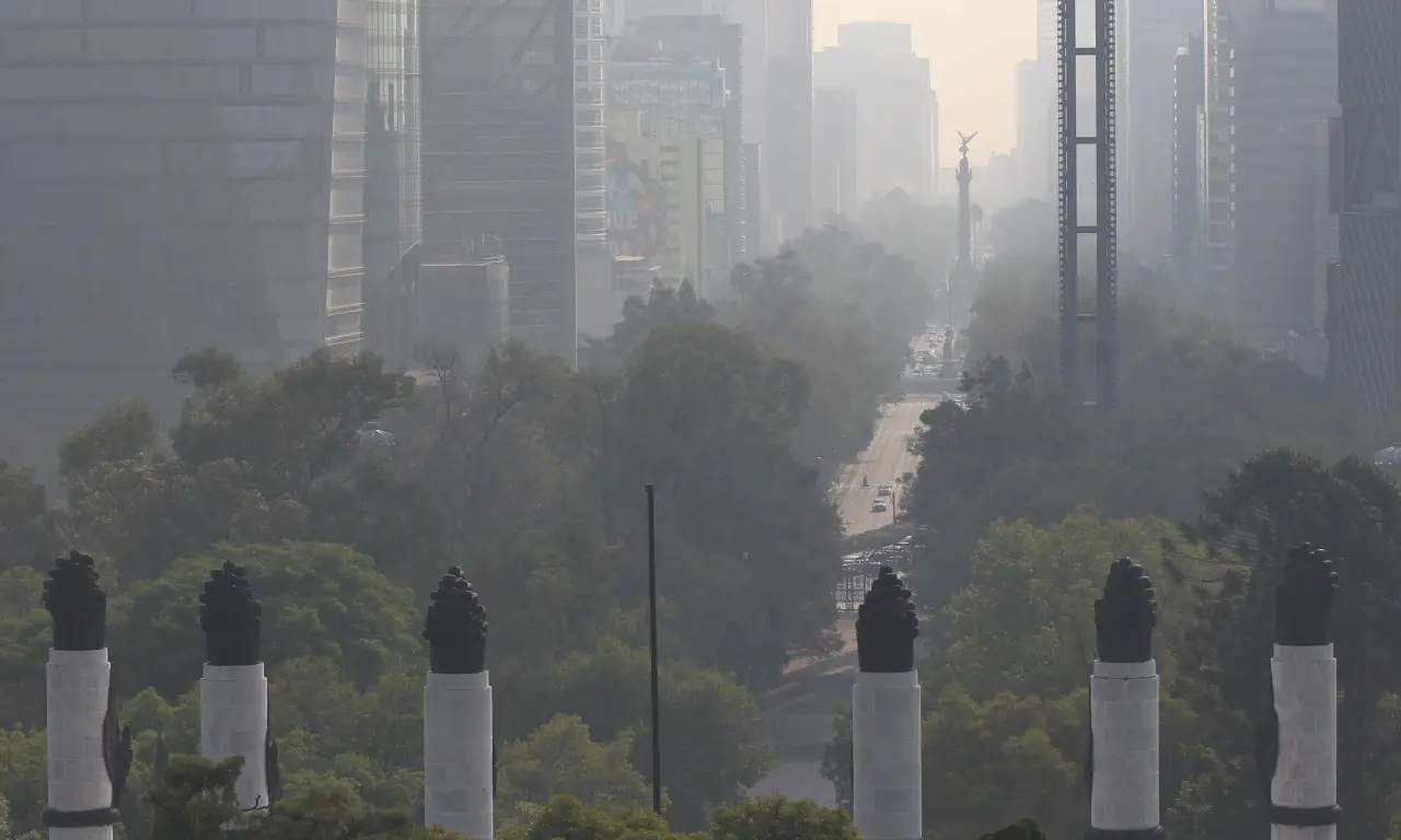  Las contingencias ambientales en CDMX se relacionan con las actividades humanas 