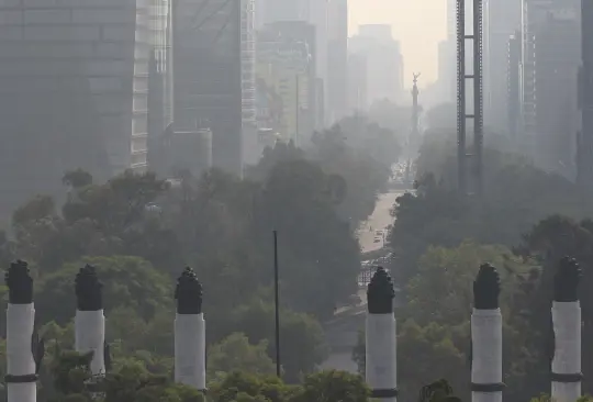 Las contingencias ambientales en CDMX se relacionan con las actividades humanas