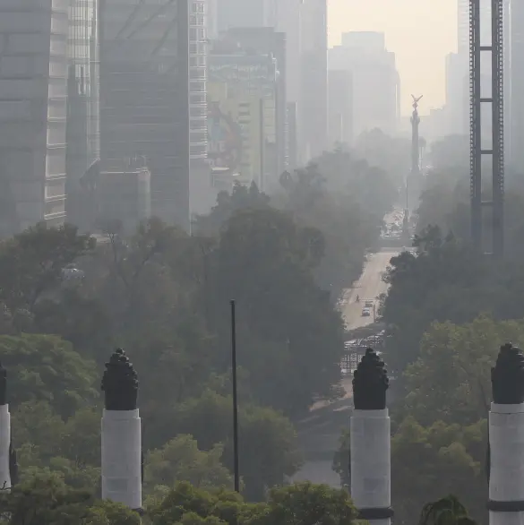 Estas son las contingencias ambientales que se esperan en la megalópolis