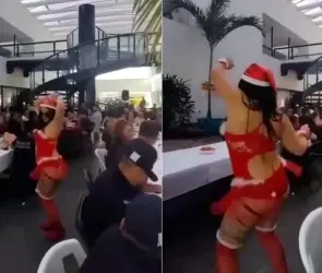 VIDEO: Policías hacen posada navideña... ¡con bailarina exótica!
