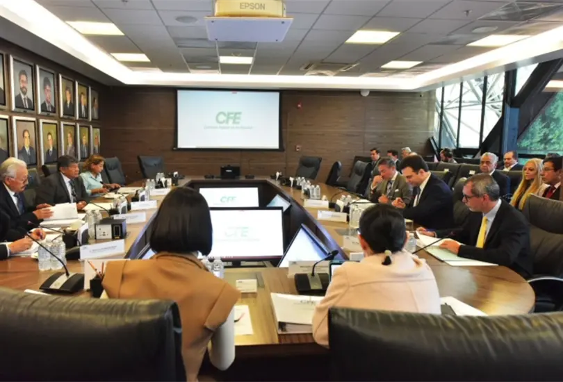 Luz Elena González: Energía limpia y justicia social Luz Elena González: Energía limpia y justicia social