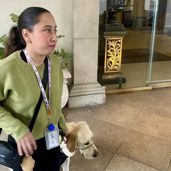 "Odín no es una mascota": Mujer denuncia discriminación en lujoso hotel de Monterrey