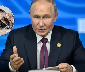 Vladimir Putin admite que sistema antiaéreo ruso estaba activo en el accidente de avión