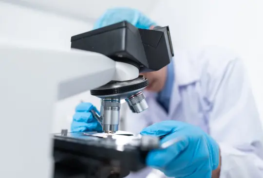 Melioidiosis: ¿Qué es y cuáles son los síntomas de la enfermedad que puso en alerta a México? Melioidiosis: ¿Qué es y cuáles son los síntomas de la enfermedad que puso en alerta a México?