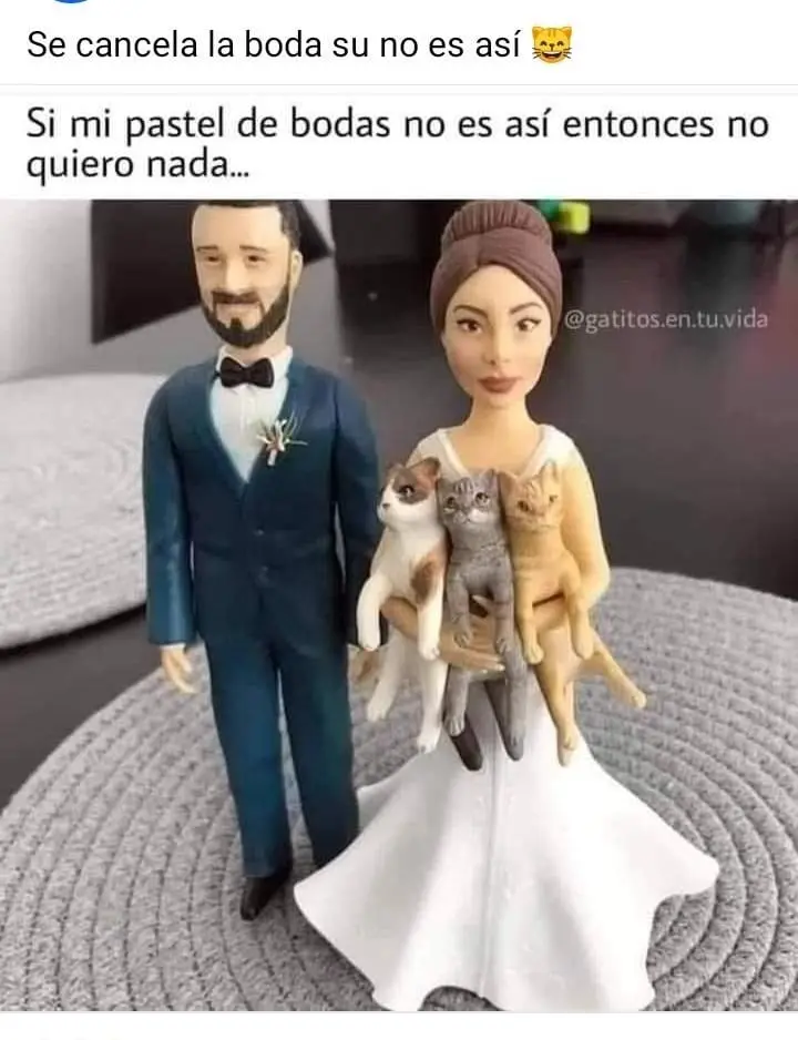 Otros que ya piensan hasta cómo será la boda. 
