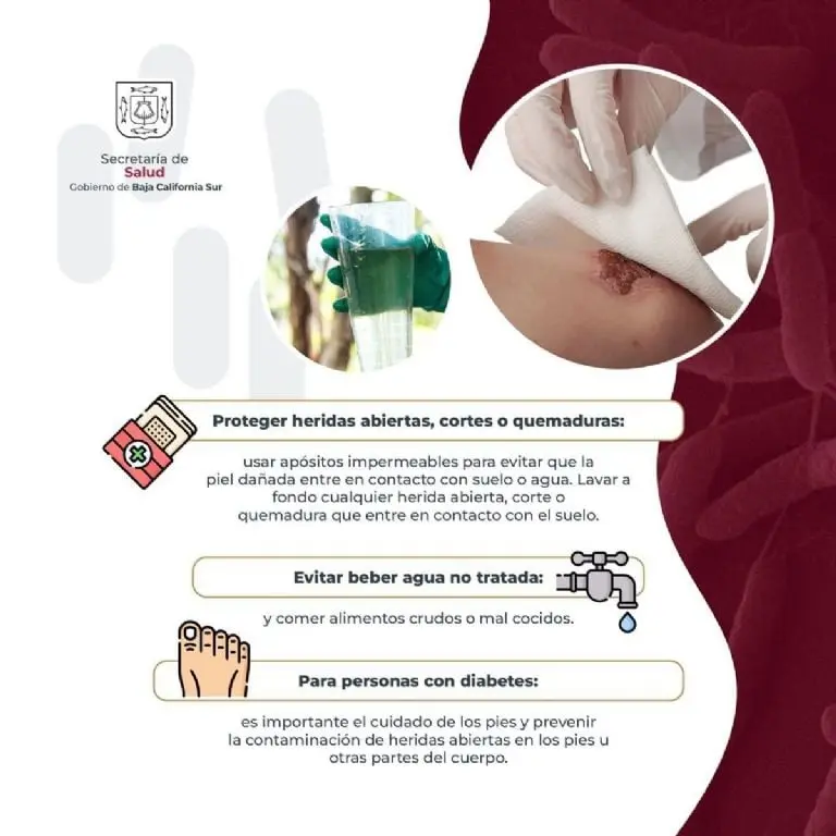 ¿Qué es la Melioidosis? - @GobBCS