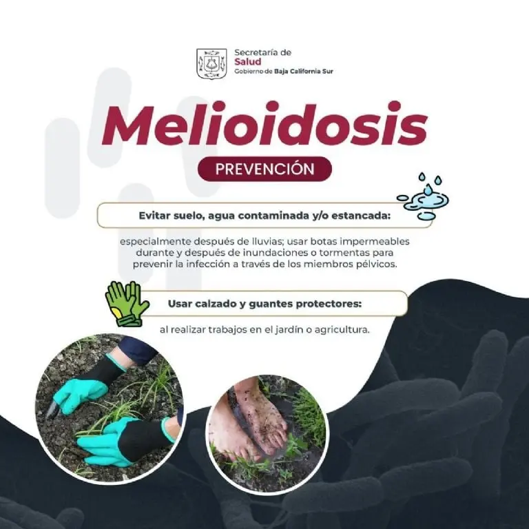 ¿Qué es la Melioidosis? - @GobBCS