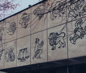 Horóscopos para hoy 16 de Febrero de 2024