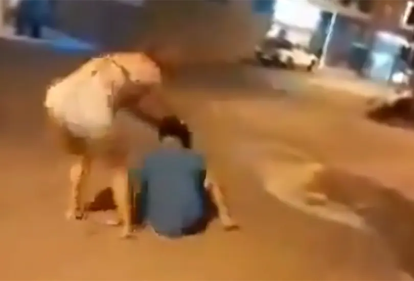 VIDEO | Trabajadora sexual golpea a sujeto que se neg&oacute; a pagarle por sus servicios